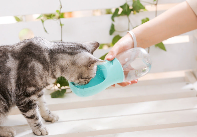 Fetchwise FetchFountain Outdoor Pet Bottle